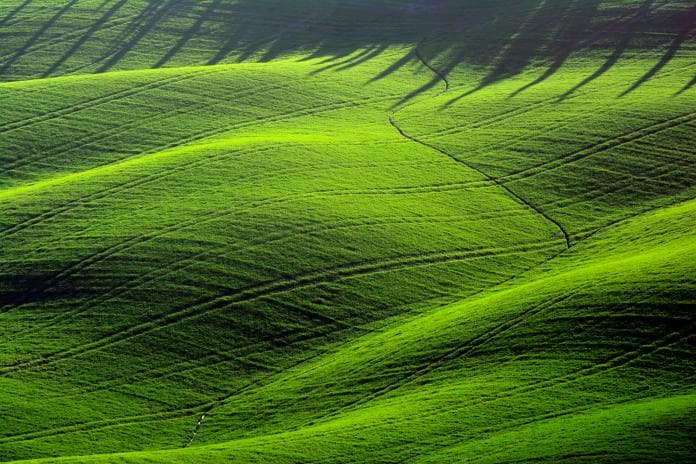 Stock Exchanges Green the World