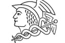 Hanken School of Economics
