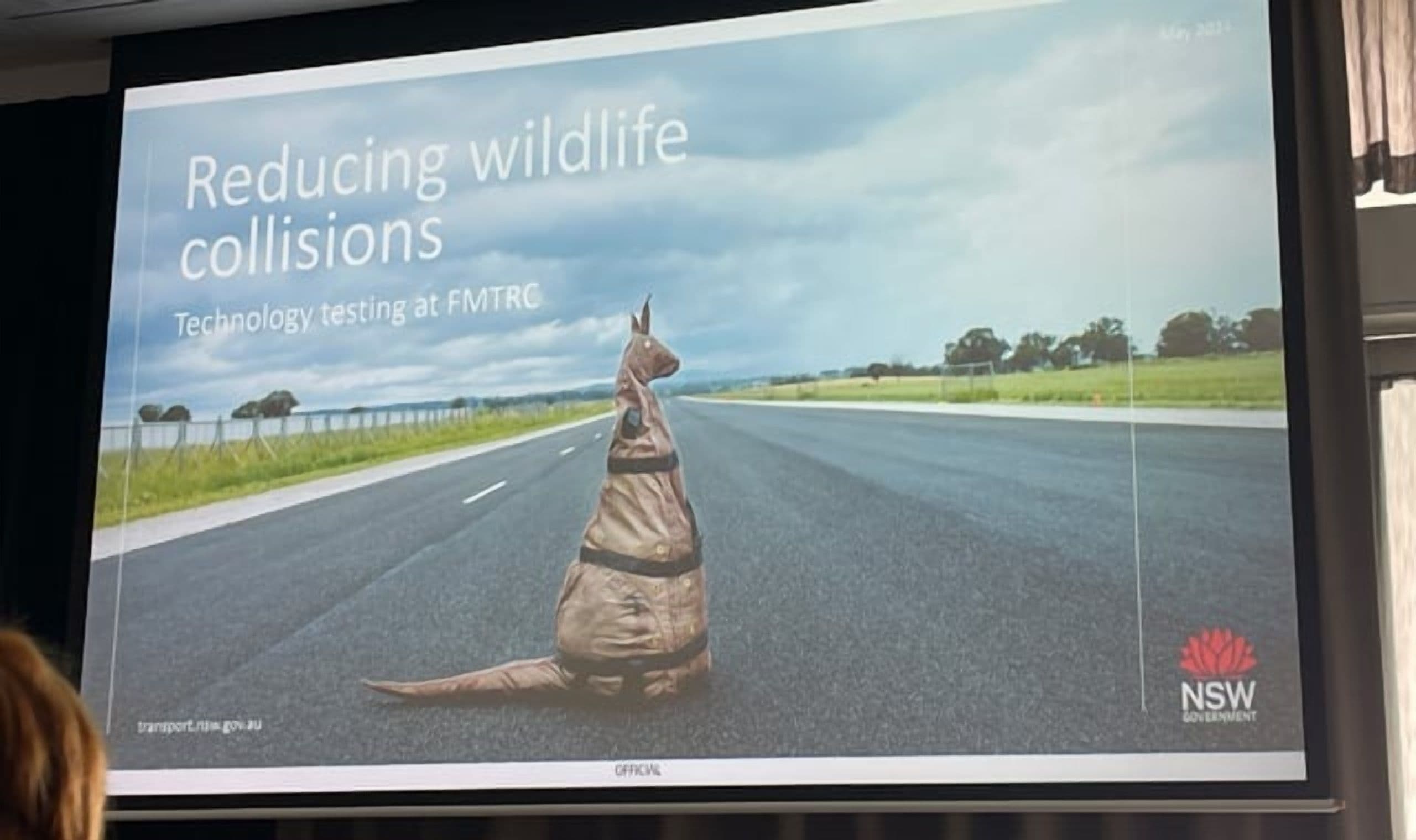 WSP Au Discusses Wildlife-Vehicle Collisions & Prevention