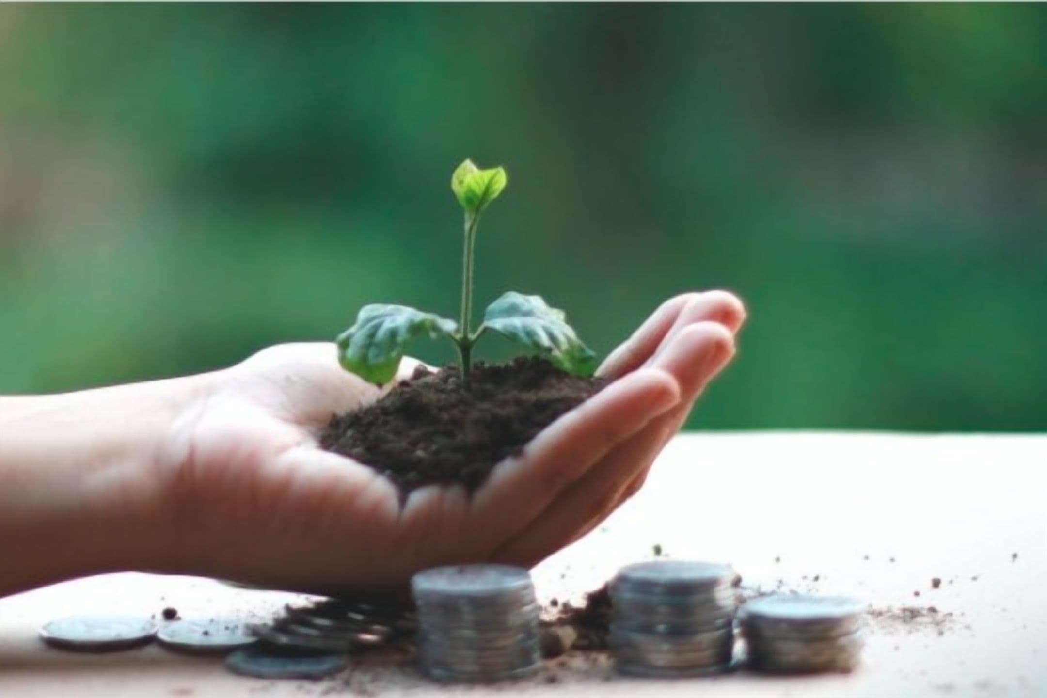 Swedish Community for Sustainable Finance Conference 2024