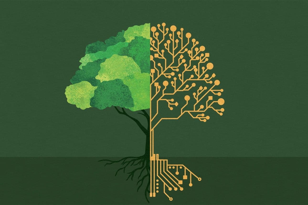 Deloitte Switzerland Invests in AI, Sustainability, and Talent Growth