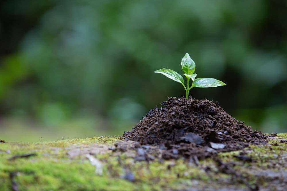 Alithya Releases ESG Report with Carbon Footprint