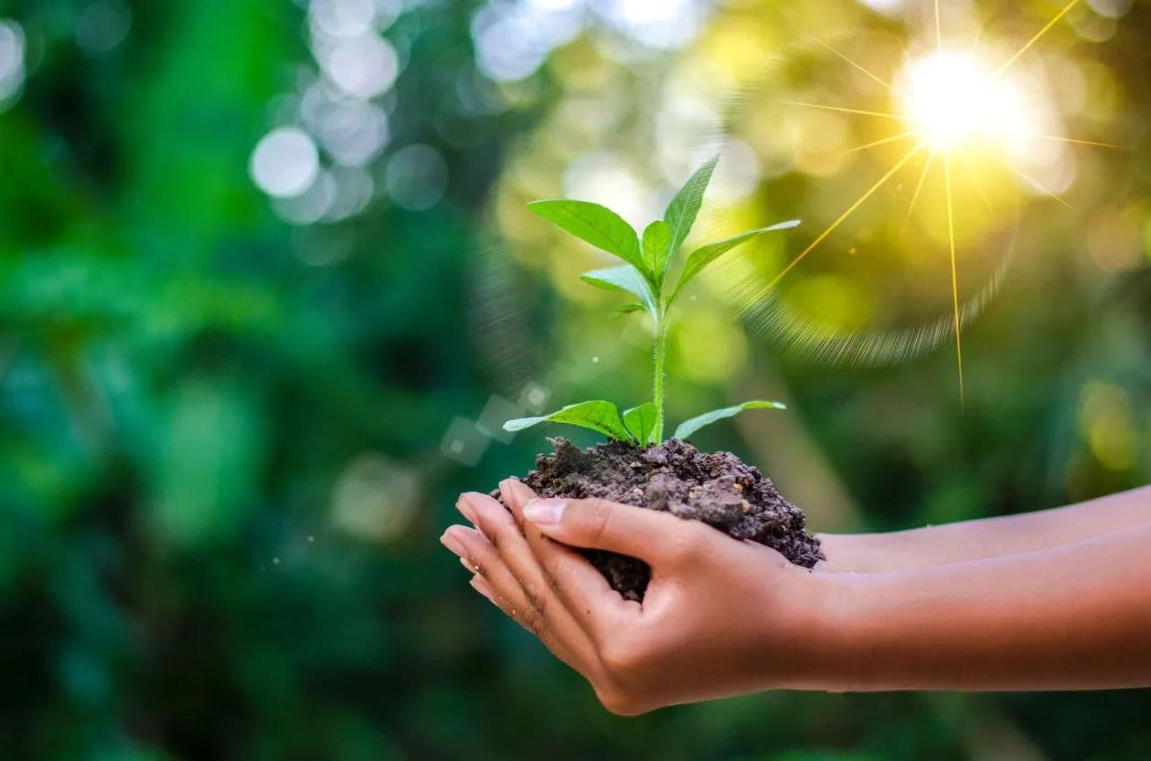 CLINT Awarded 5-Star in GRESB ESG Assessment