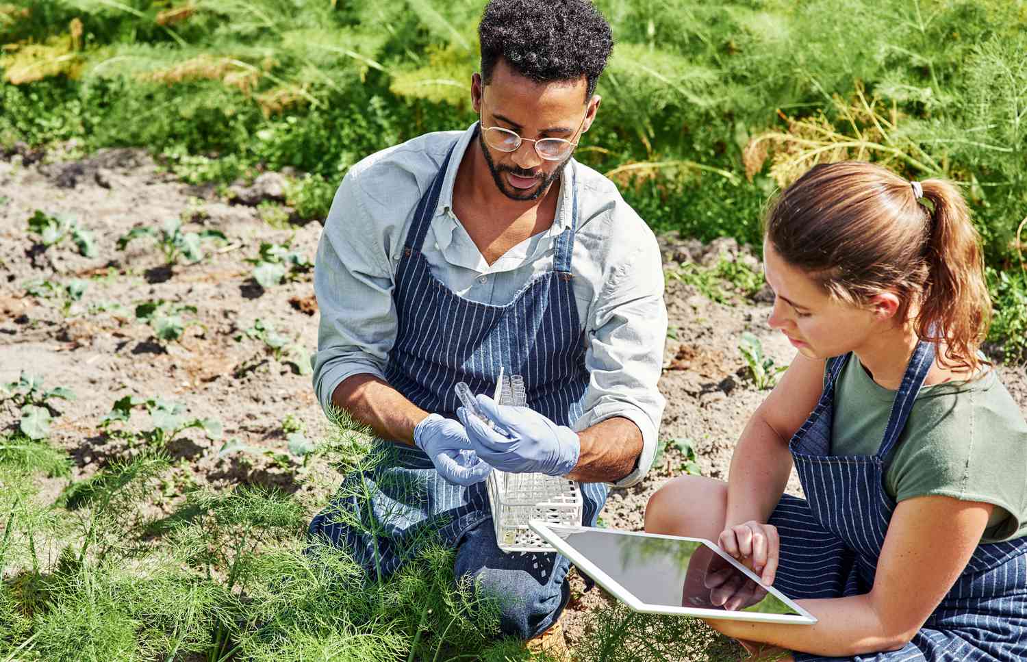 Green Jobs are Redefining the Workforce