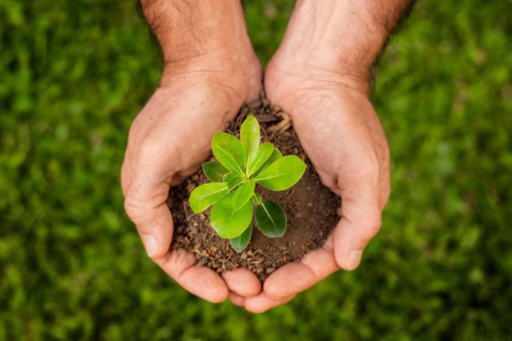Essential Energy Services Issues Inaugural ESG Report
