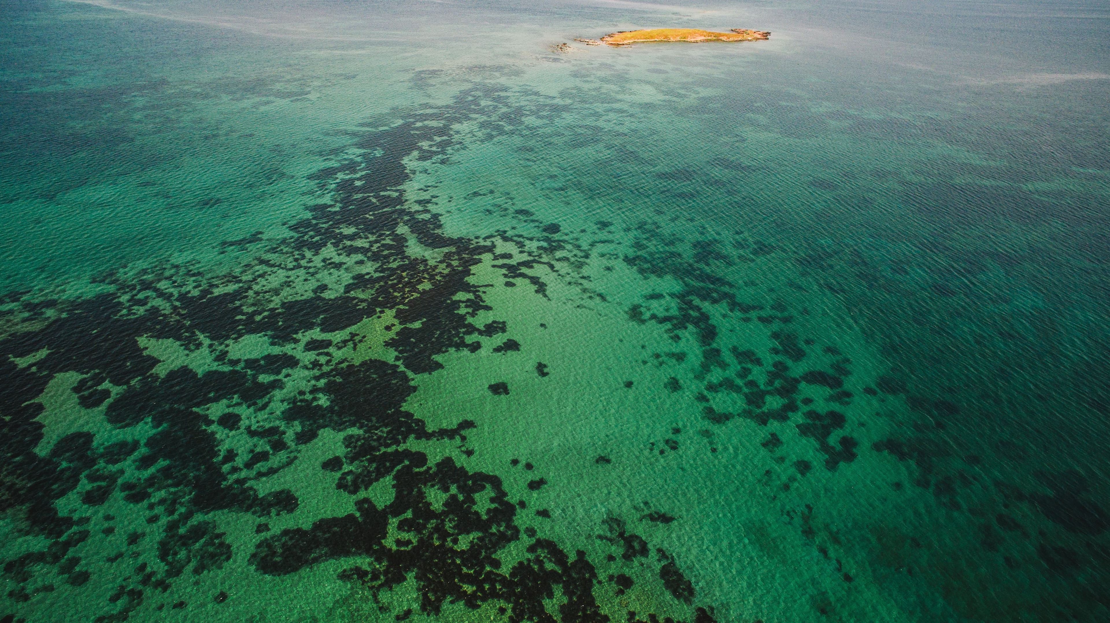 Scientists Study Caribbean Coral Reefs to Curb Climate Crisis