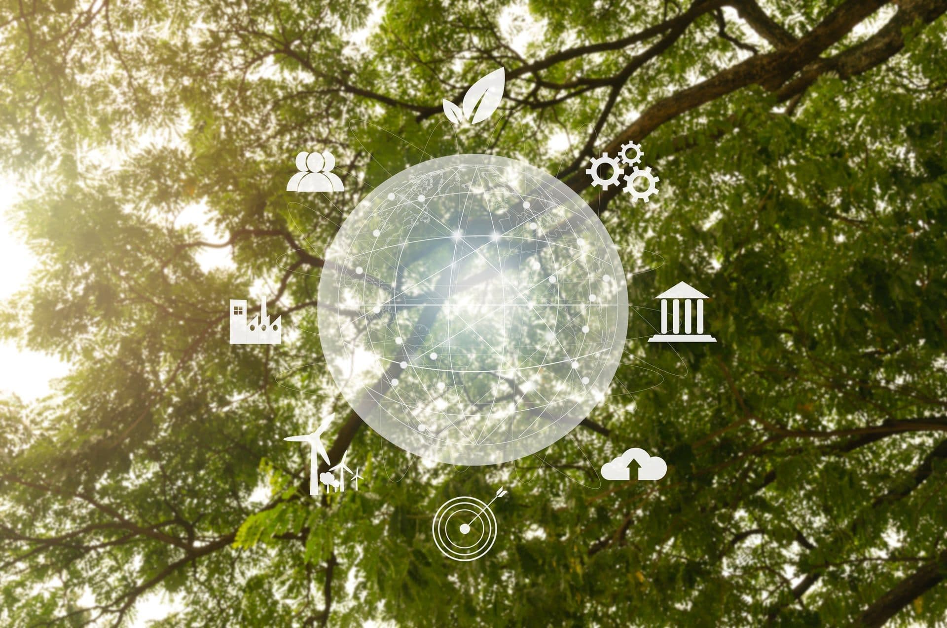 IFC, IFRS: Climate Reporting for Emerging Markets