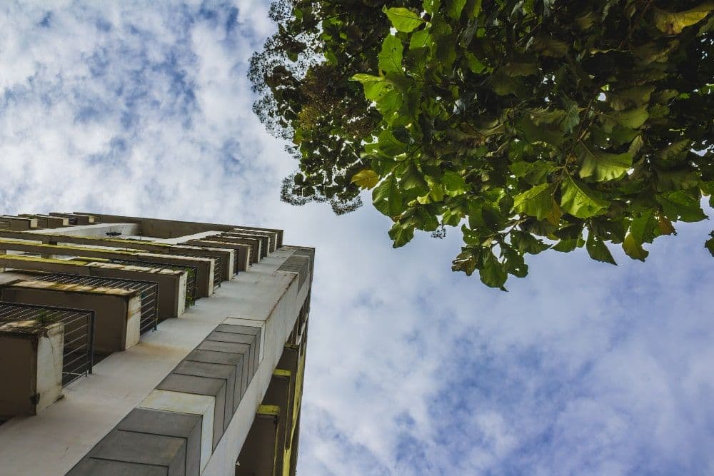 IFC, Ayala Land Partner for Sustainable Real Estate in Philippines