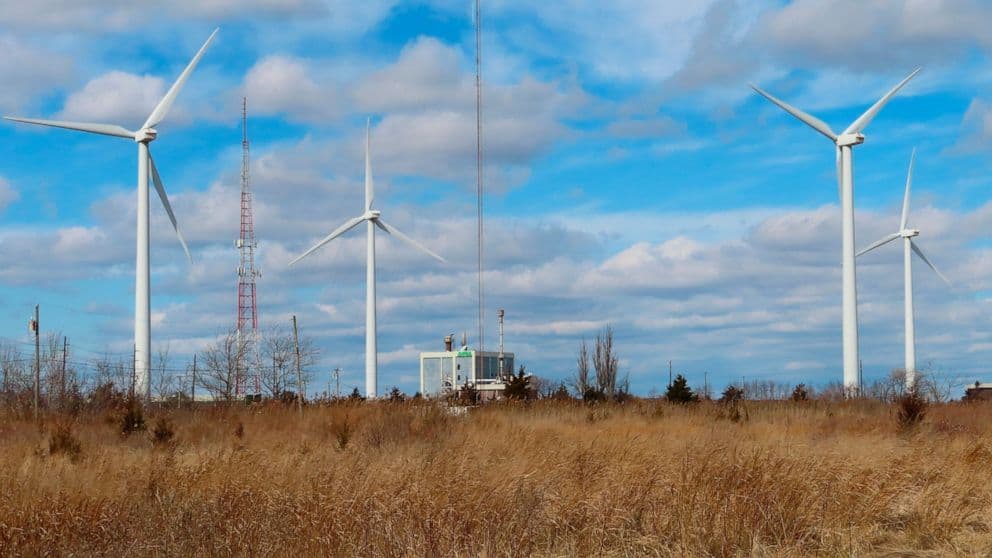 New Jersey Officials to Study Impacts of Offshore Wind Projects on Marine Ecosystem