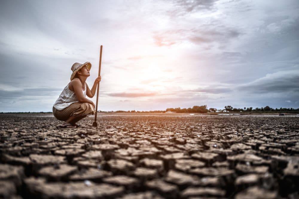 UK, WB Team Up for Climate Action in South Asia