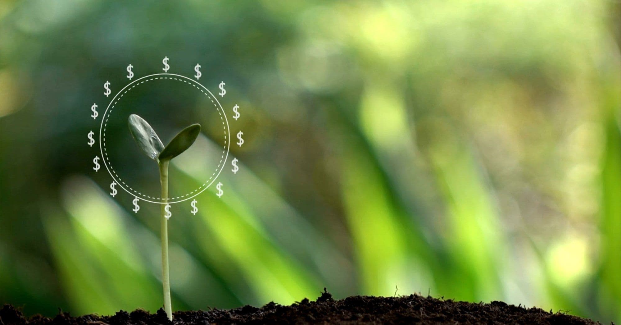 e&, Fils Partner for Sustainable FinTech