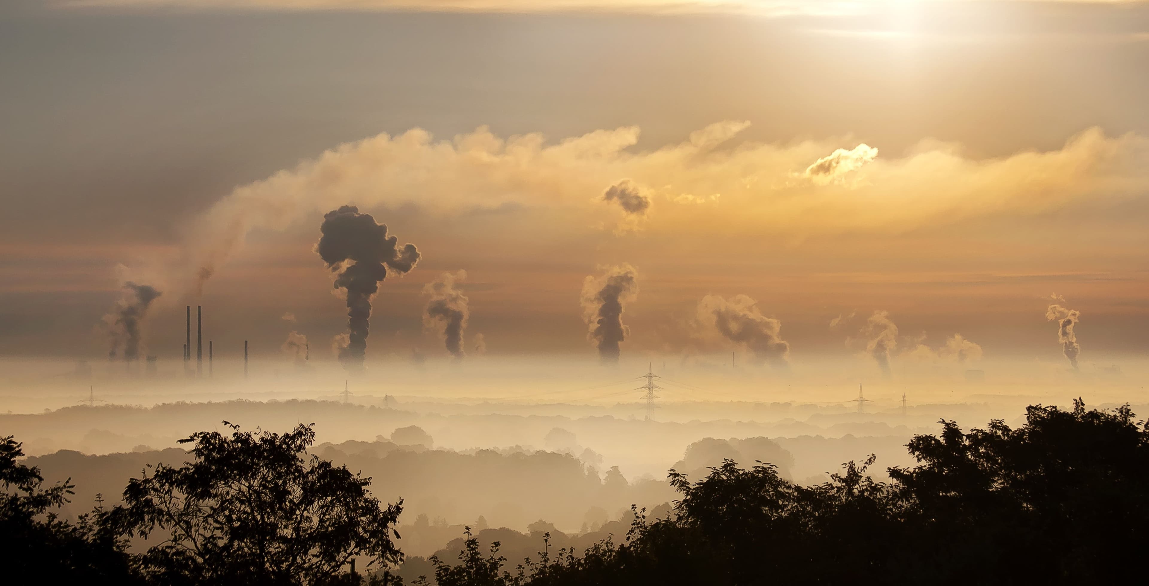WHO Releases Resource Addressing Air Quality Management