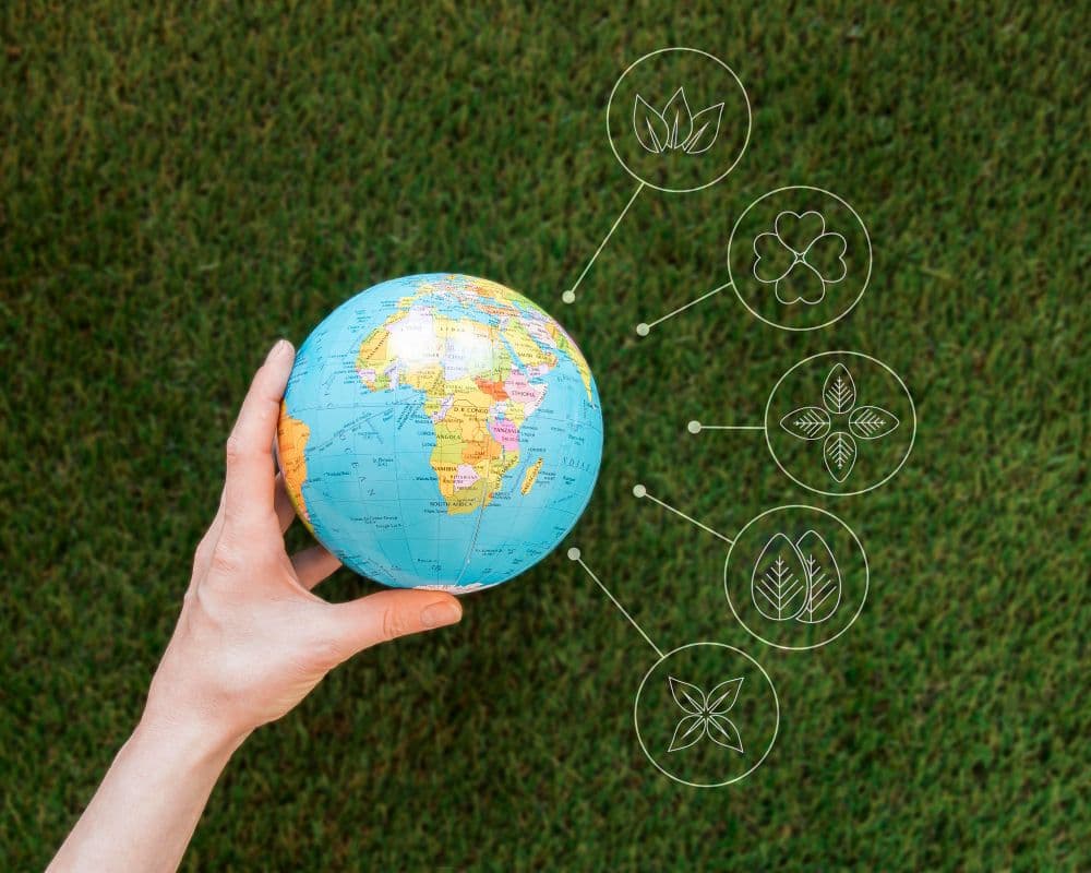 What is the Dow Jones Sustainability Index (DJSI)?