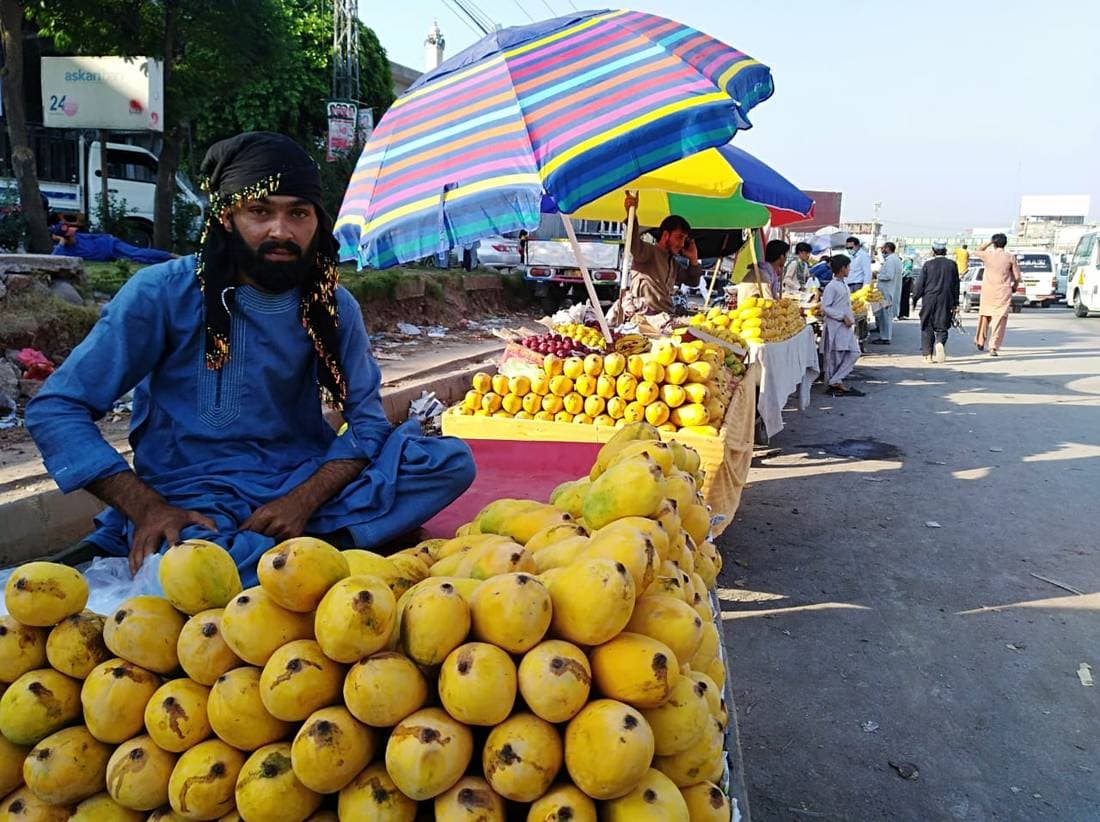 Mango Production in Pakistan: Severely Affected Due to Water Shortage and Heatwave