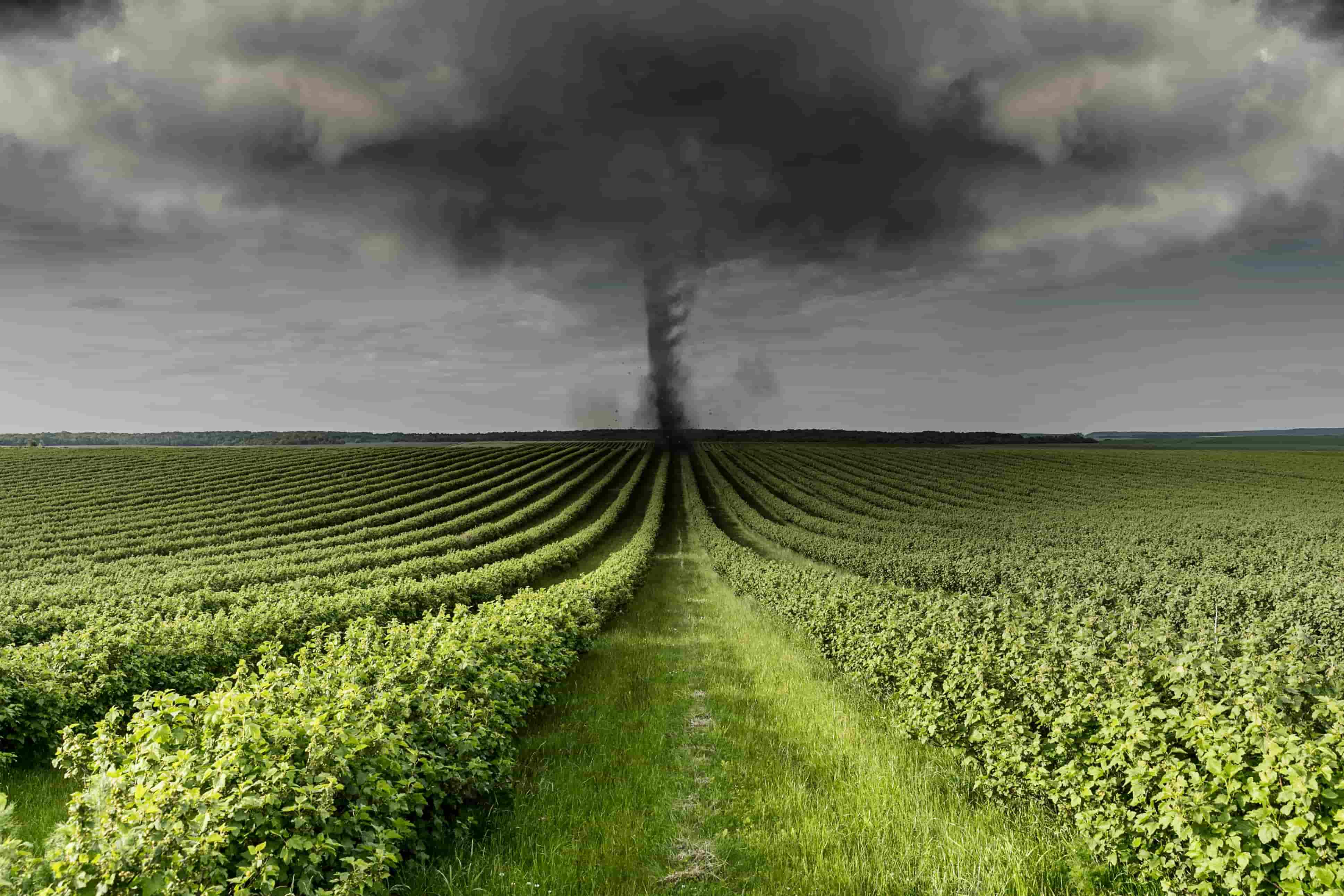 Climate Curve Prize: Methane Set to Boost Solutions for Agricultural Emissions