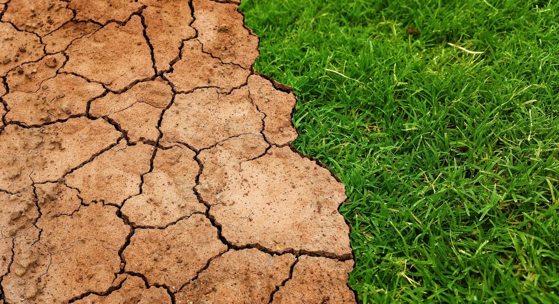 International Climate Risk Disclosure Standard Gets US State Insurance Commissioners' Backing