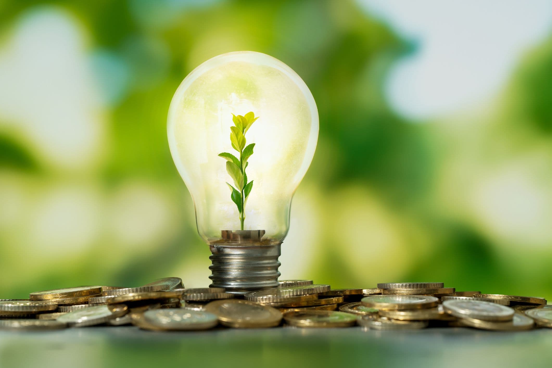 Most Consumers Want to Save Energy, But Don't Know How