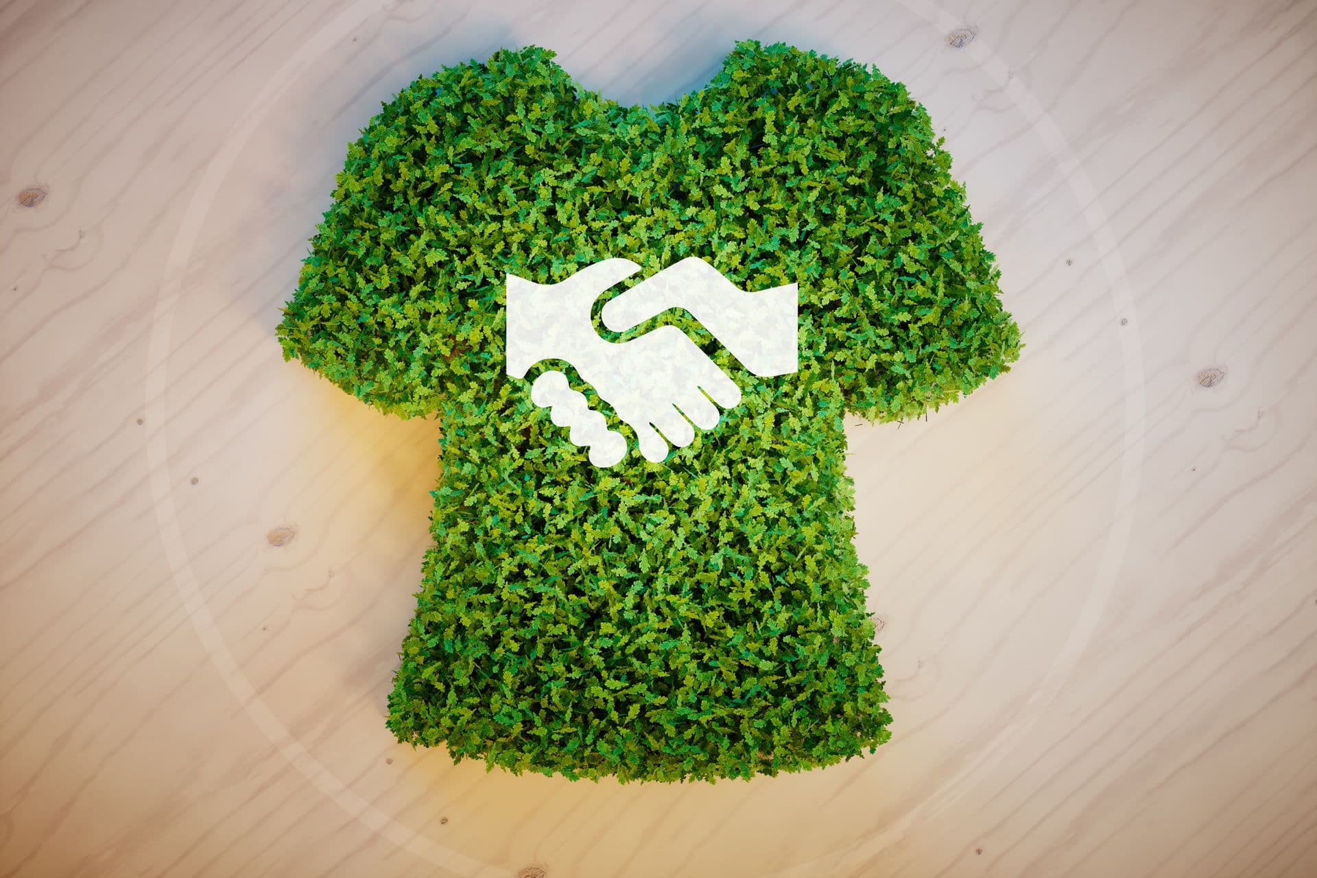 Guide to Best Vegan Clothing Brands: All You Need to Know