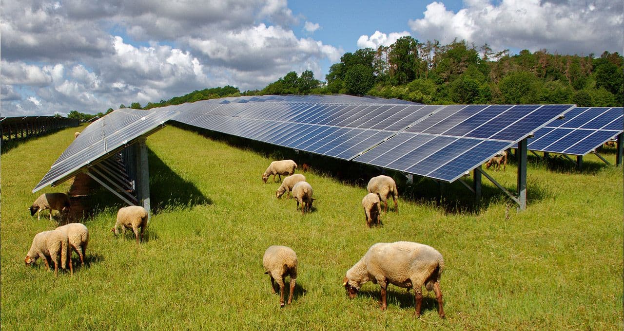 BNZ Helps New Zealanders Make Their Businesses, Farms, and Homes Cleaner and Greener