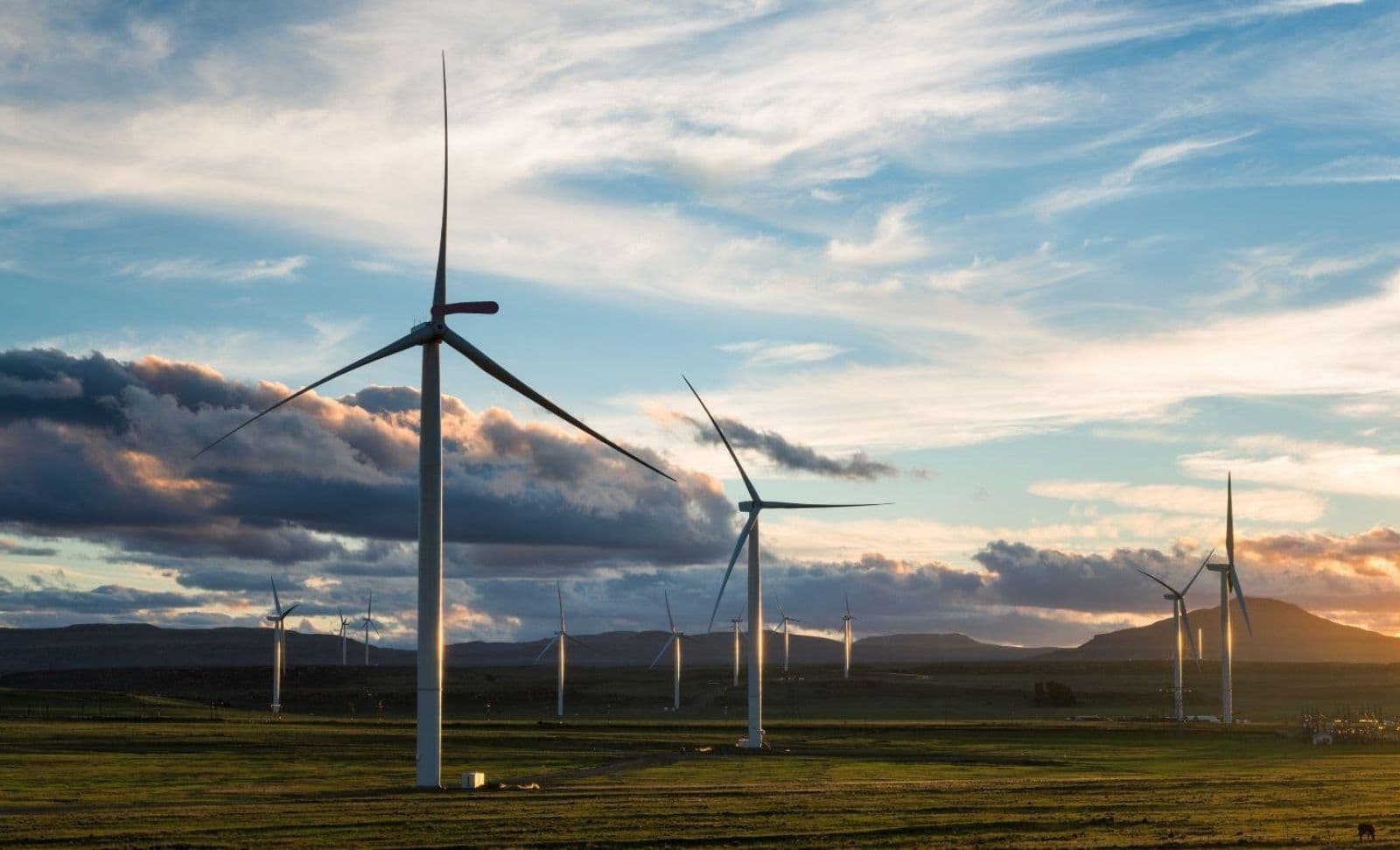 Springer Nature's Net-Zero Targets Validated