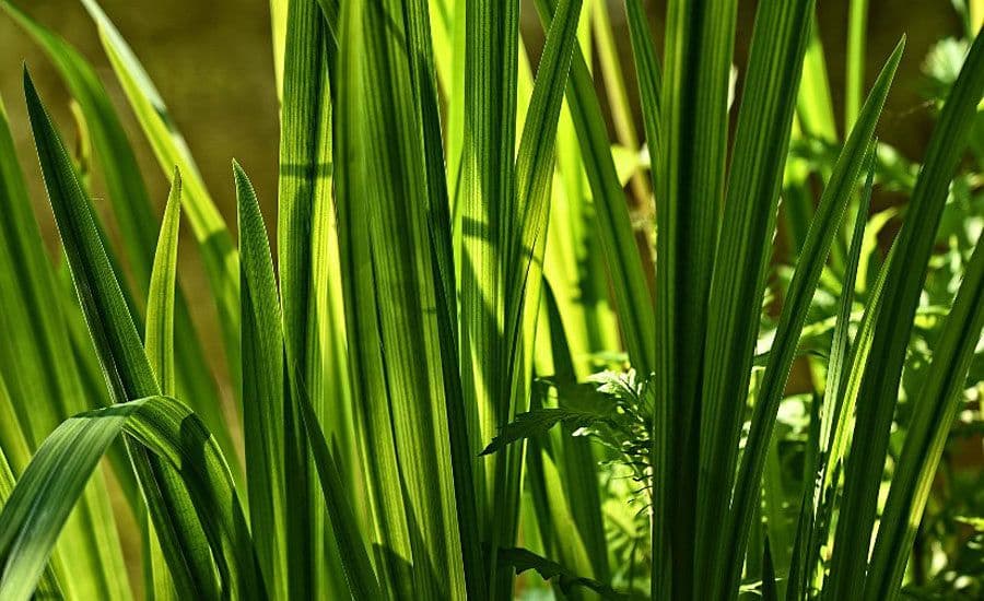 Sun Chemical's Spring 2023 Newsletter Released