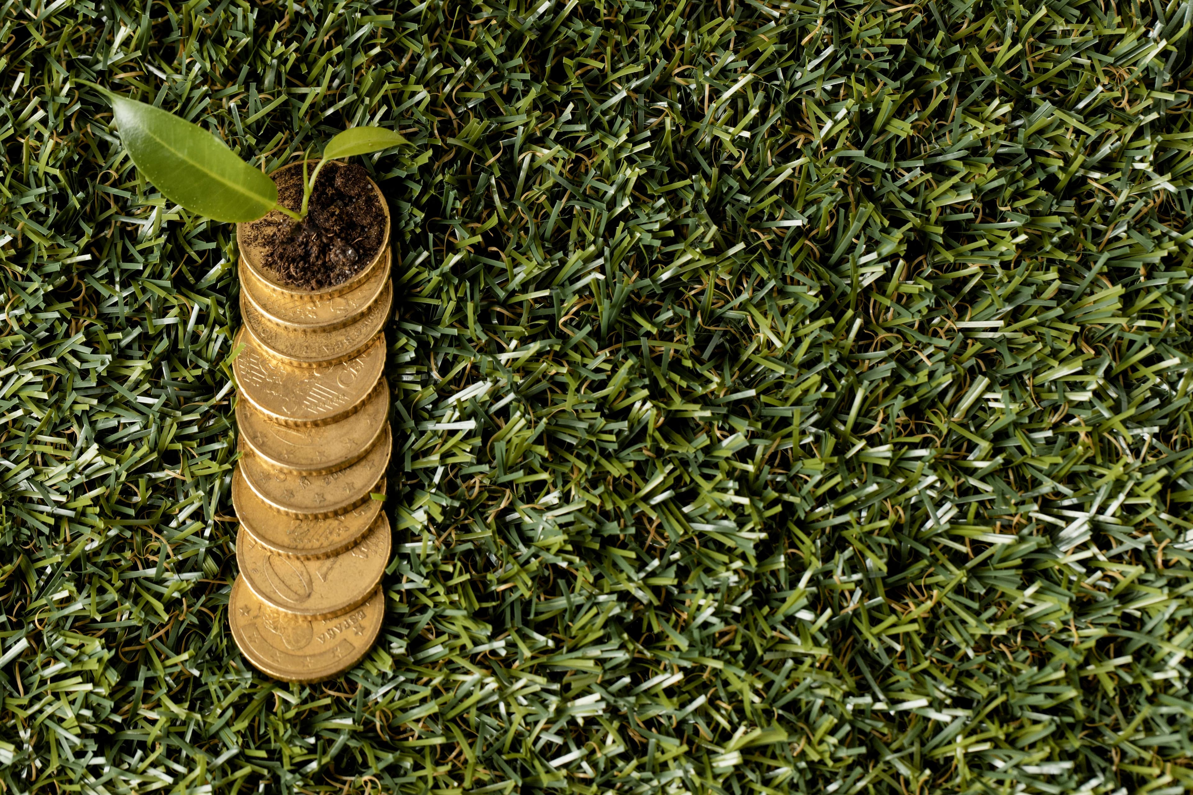 Canada’s Sustainable Investing Interest Is Growing