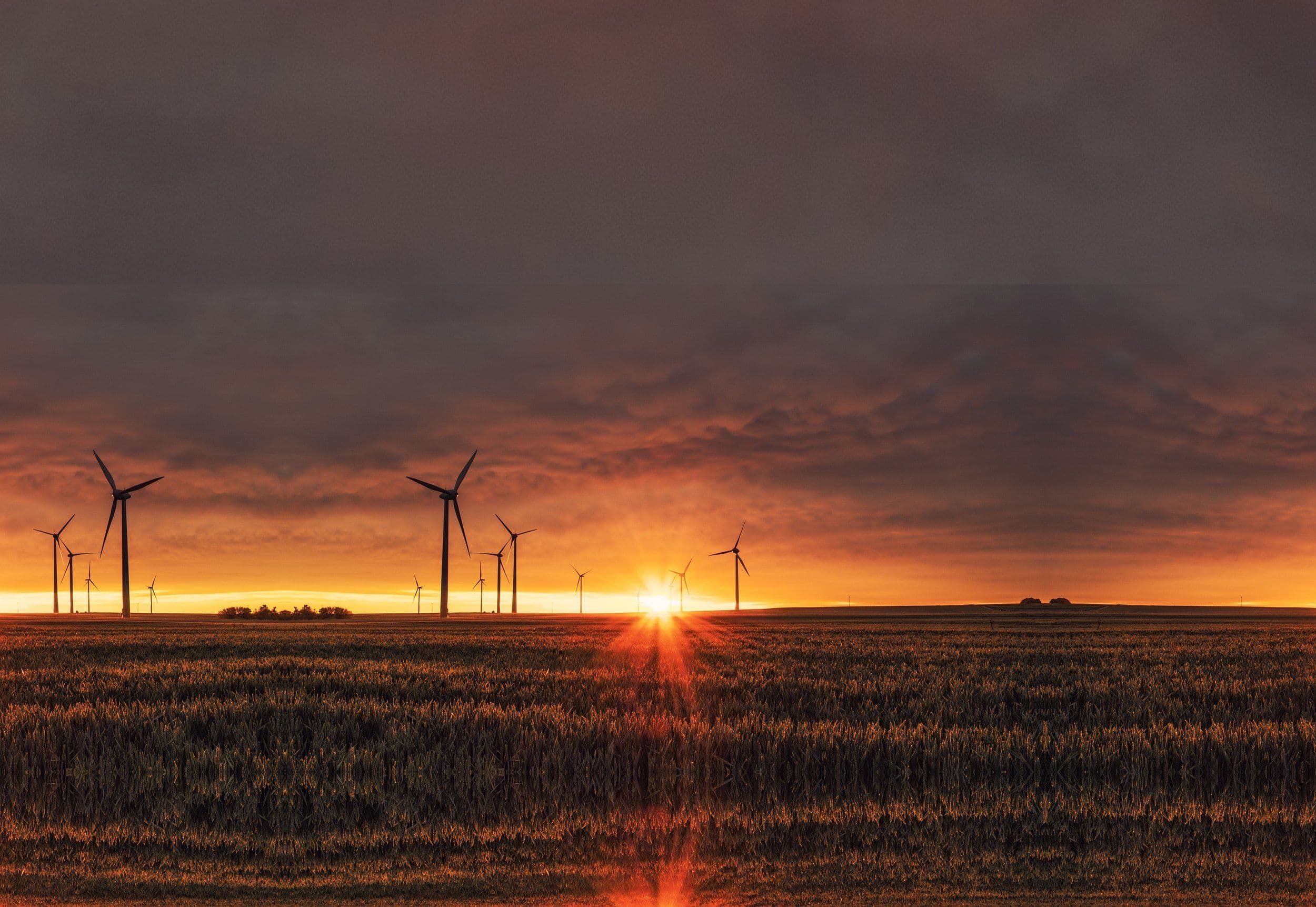 Net Zero Nations Projects Conference 2025