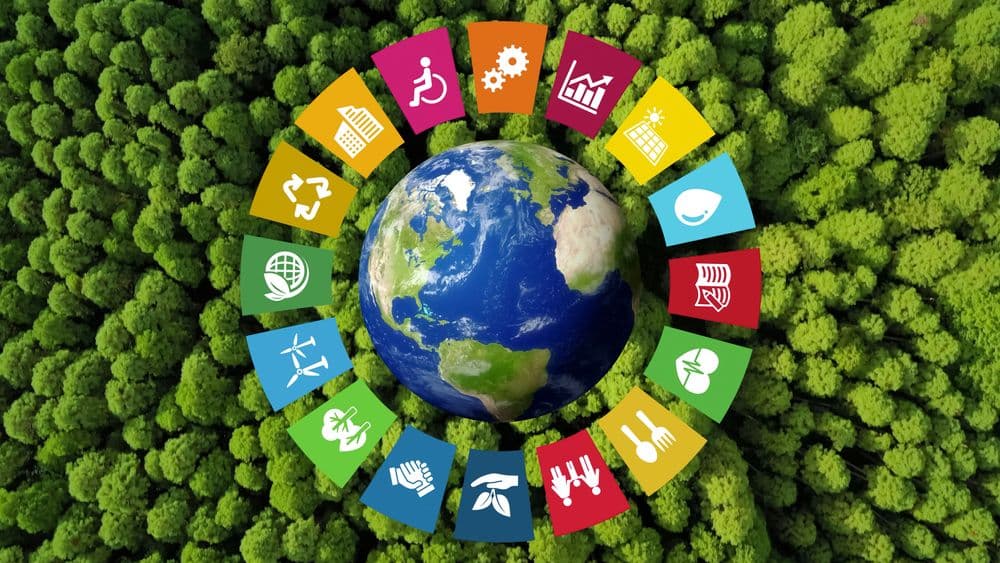 AutoWallis Publishes ESG Strategy with Key Targets