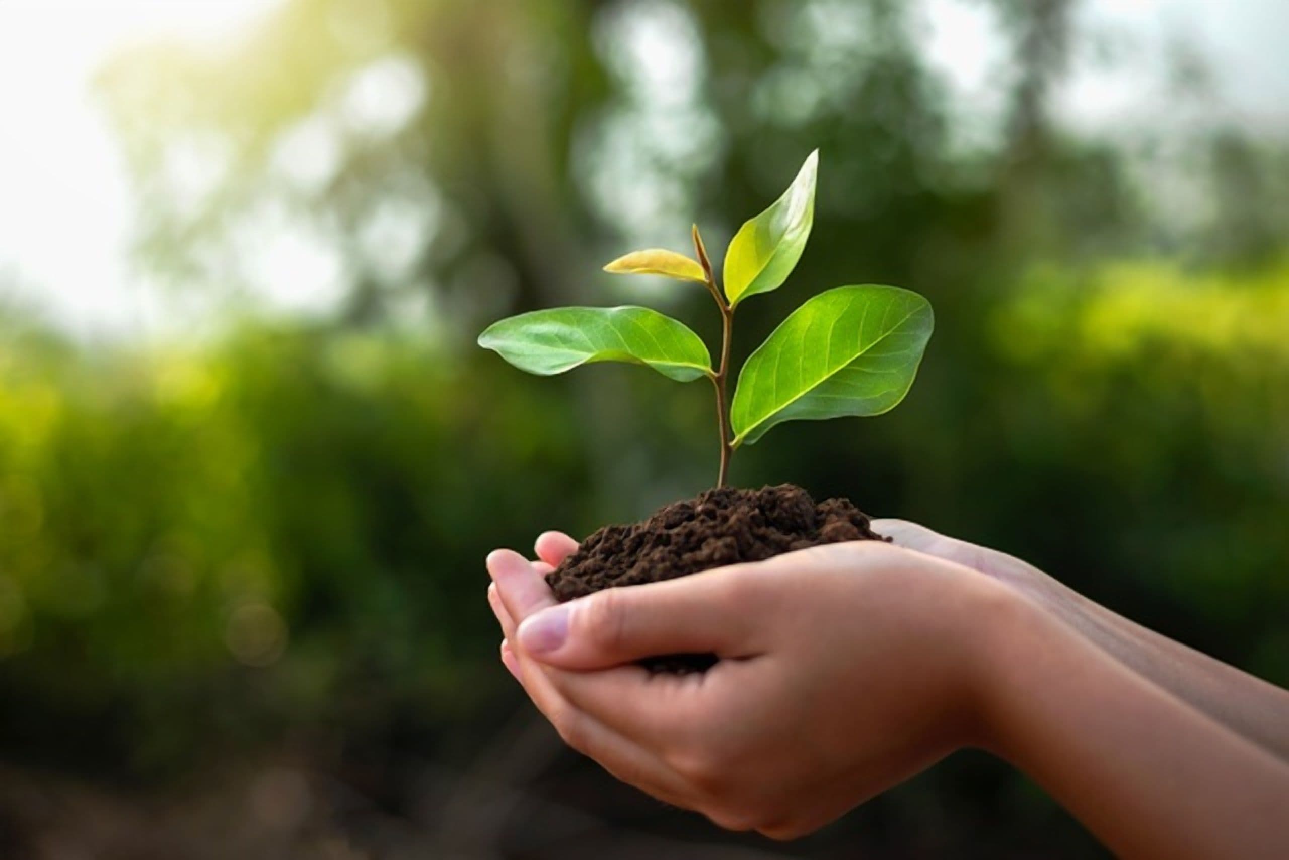 $151M Green Fund for Climate Resilience in Horn of Africa