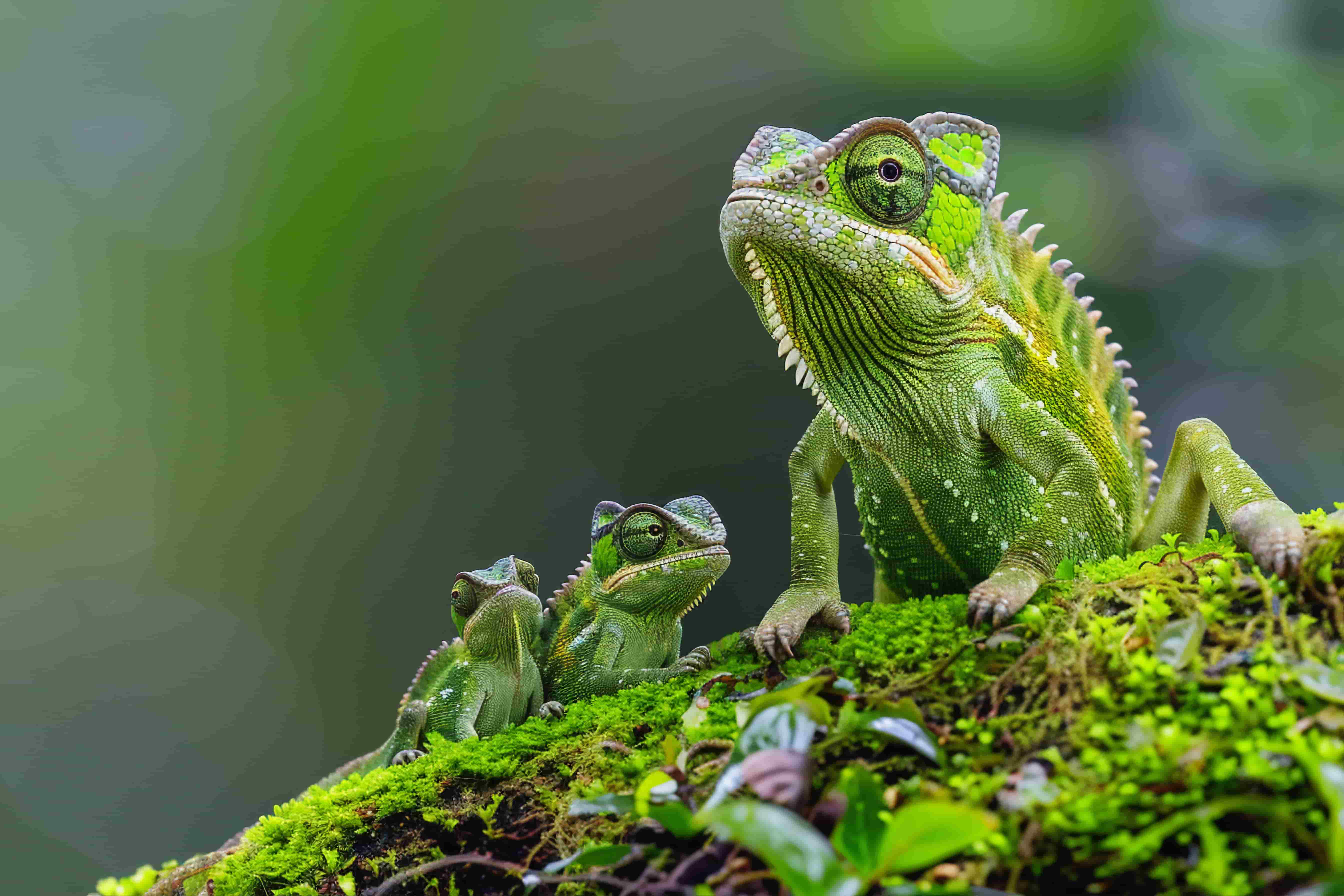 Superorganism Secures $25M to Invest in Next-Generation Biodiversity Startups