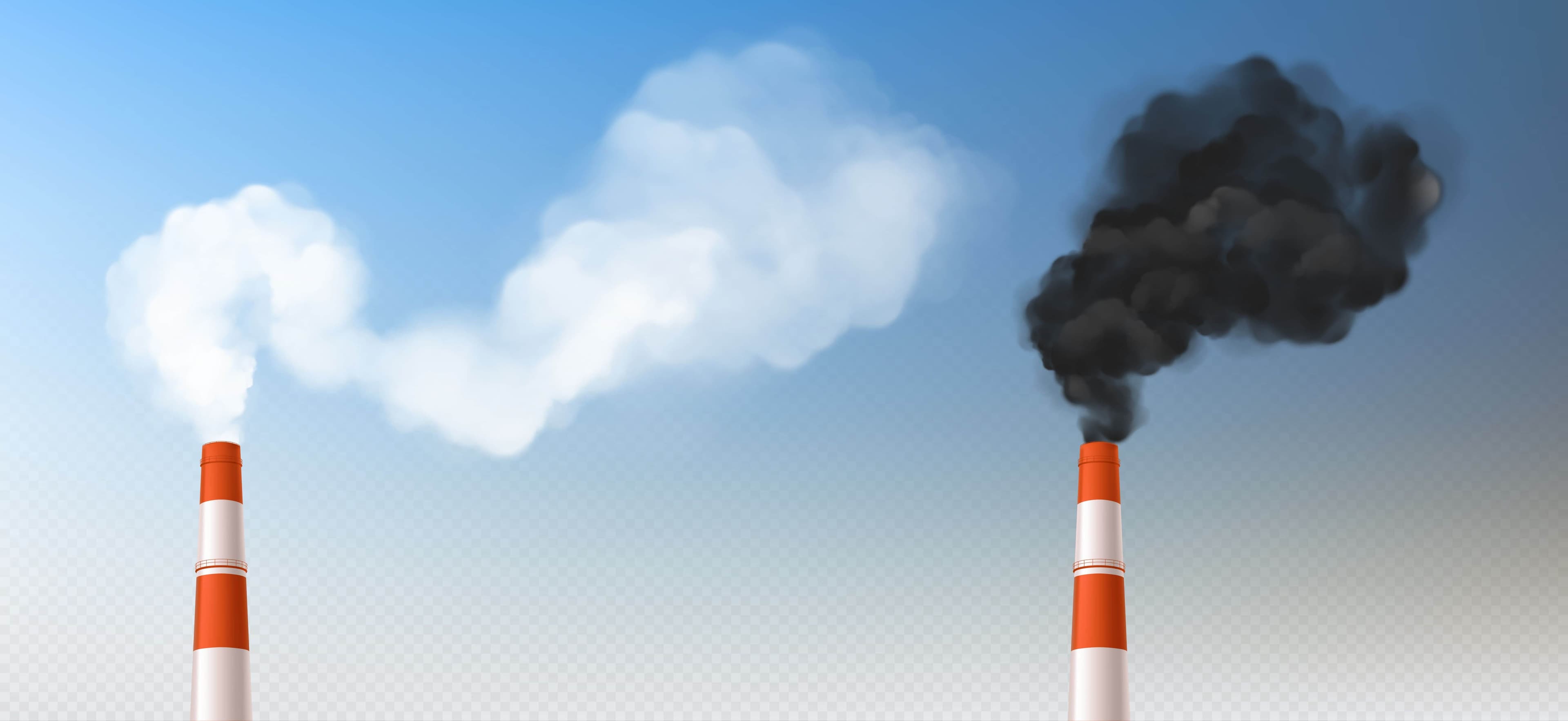 Looking for a Carbon Fix? Canada’s Natural Solution Is Here