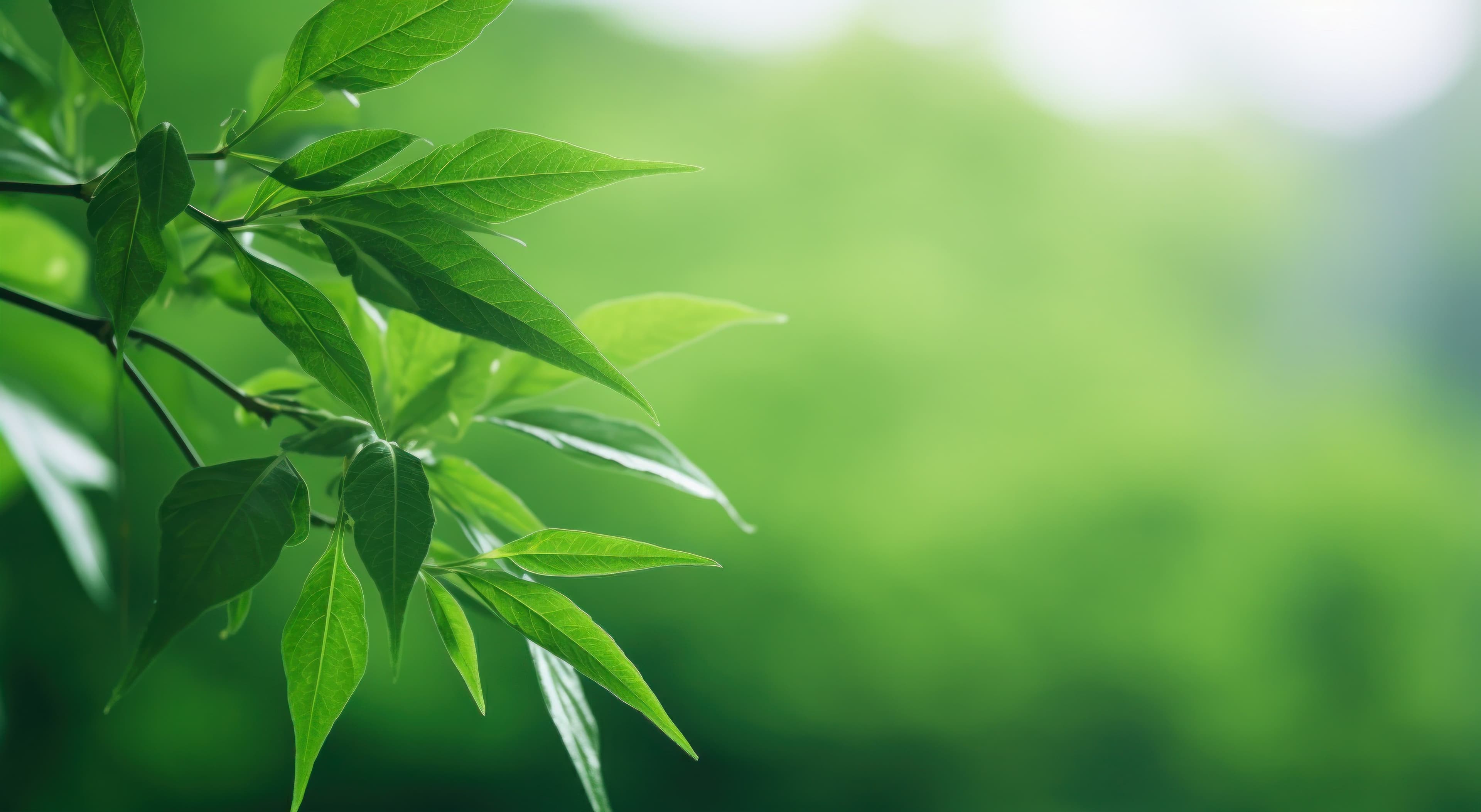 Trillion Dollar Boost for Green Projects in 2024