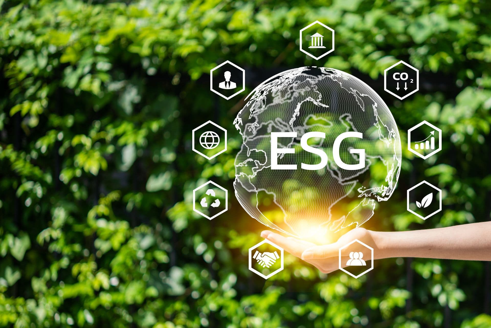Irish People Ready to Pay More for Sustainable Products