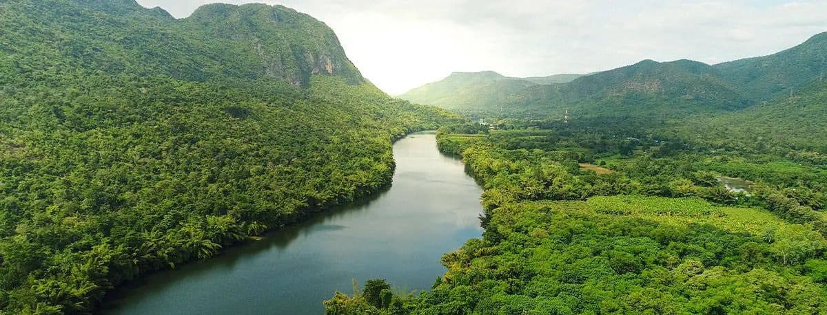 BCX Carries Out Malaysia's First Carbon Credit Auction