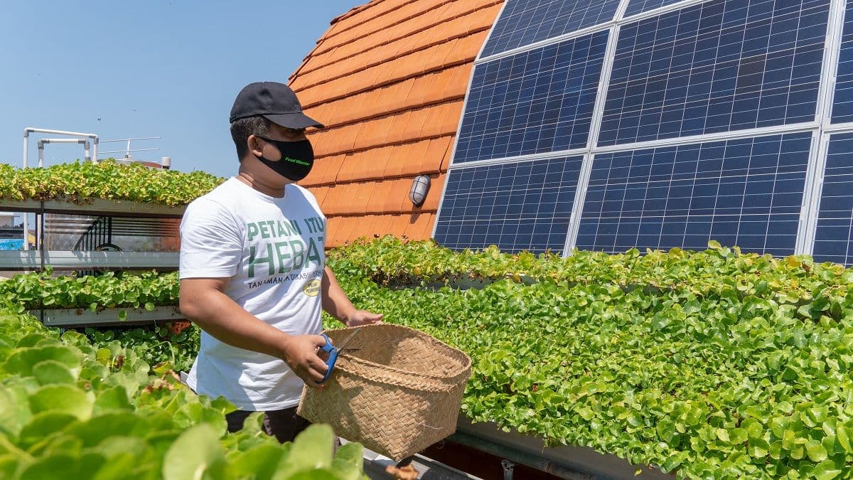 How Urban Entrepreneurs Can Help Build Sustainable Cities