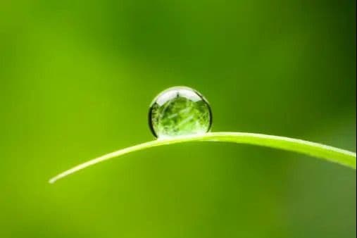 Sustainable Urban Water Systems