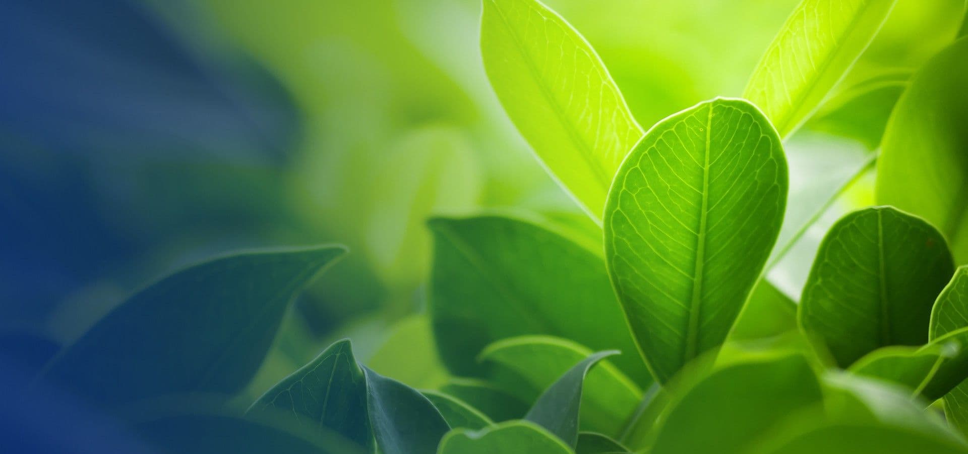Korean Sports Organisations Go Green
