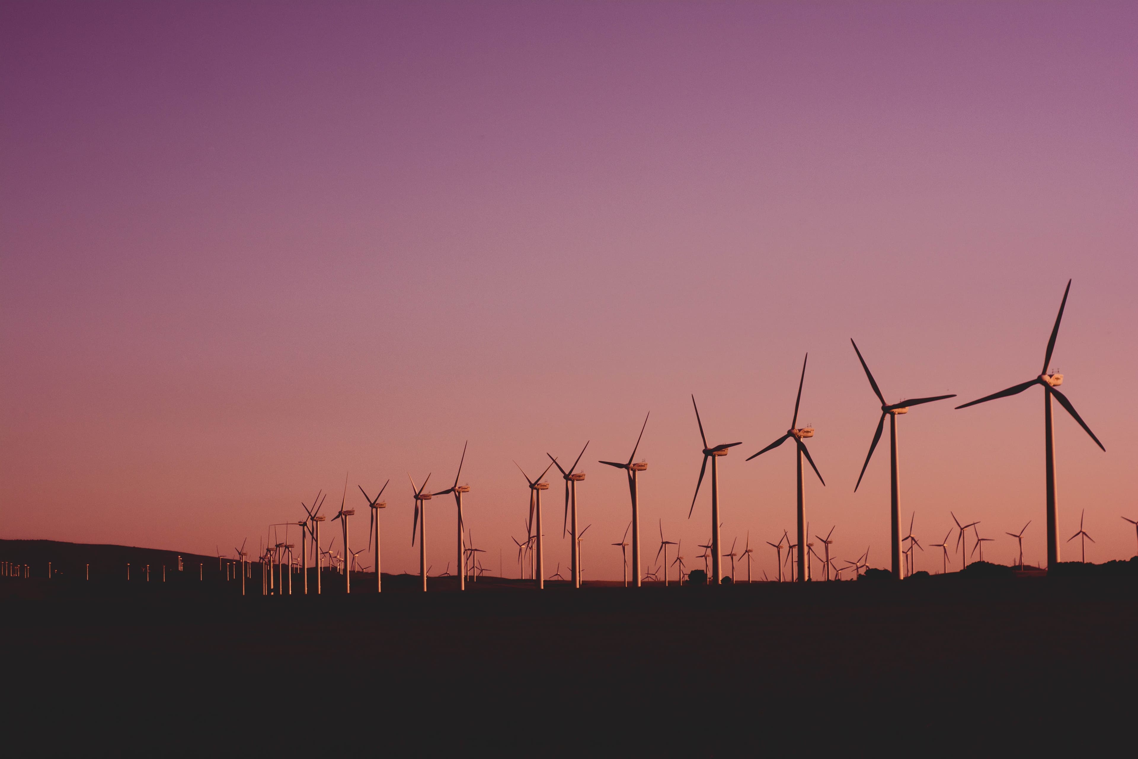 Sustainability is a Team Sport, Says Schneider Electric