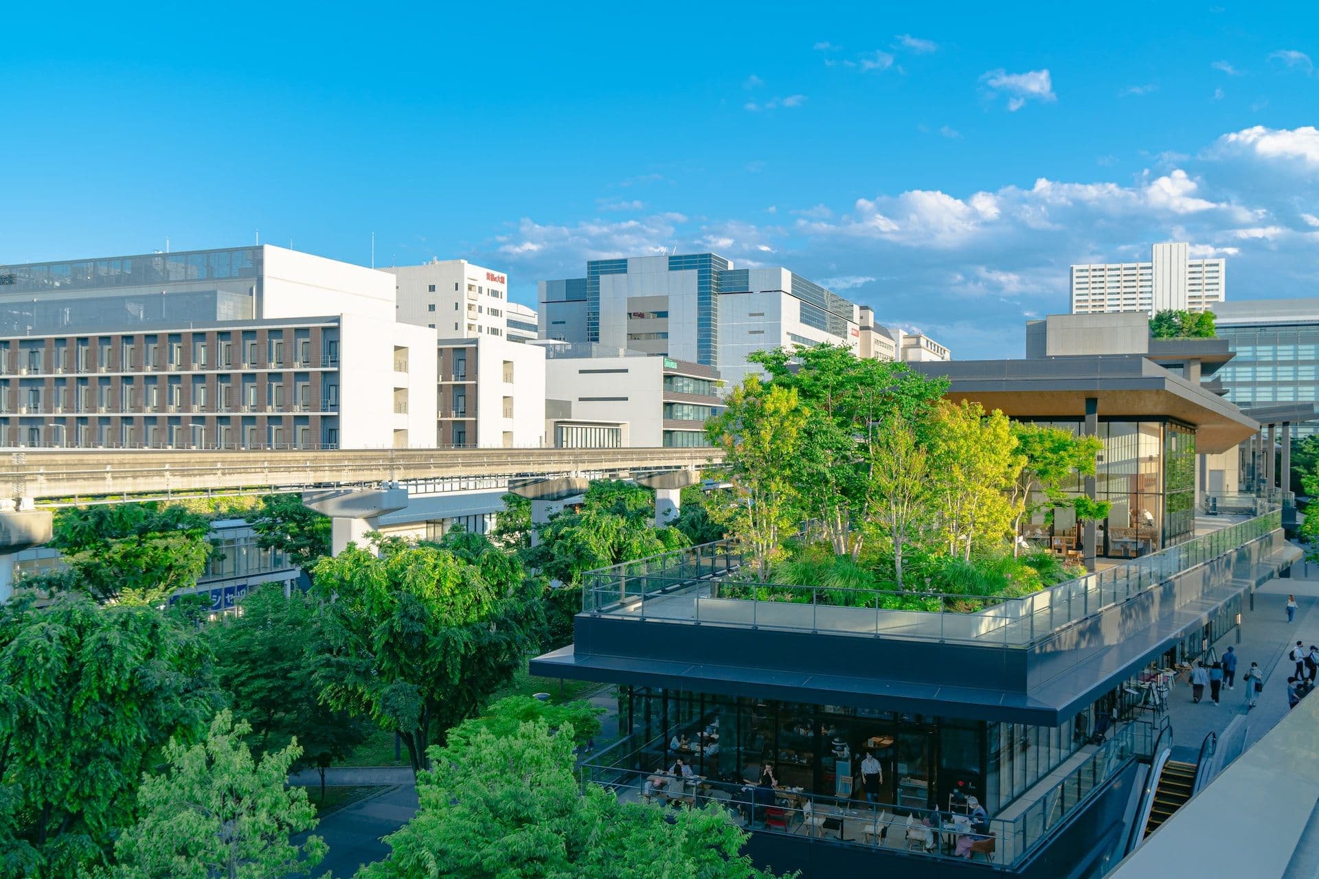 4 Ways Businesses Can Leverage COP27 Initiatives And Go Local
