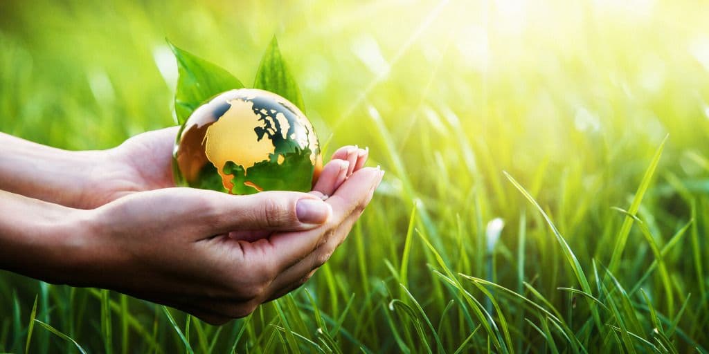 Environment Ireland 2024