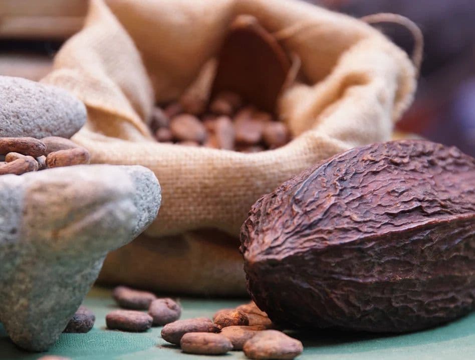 Sustainable Cocoa Week 2026
