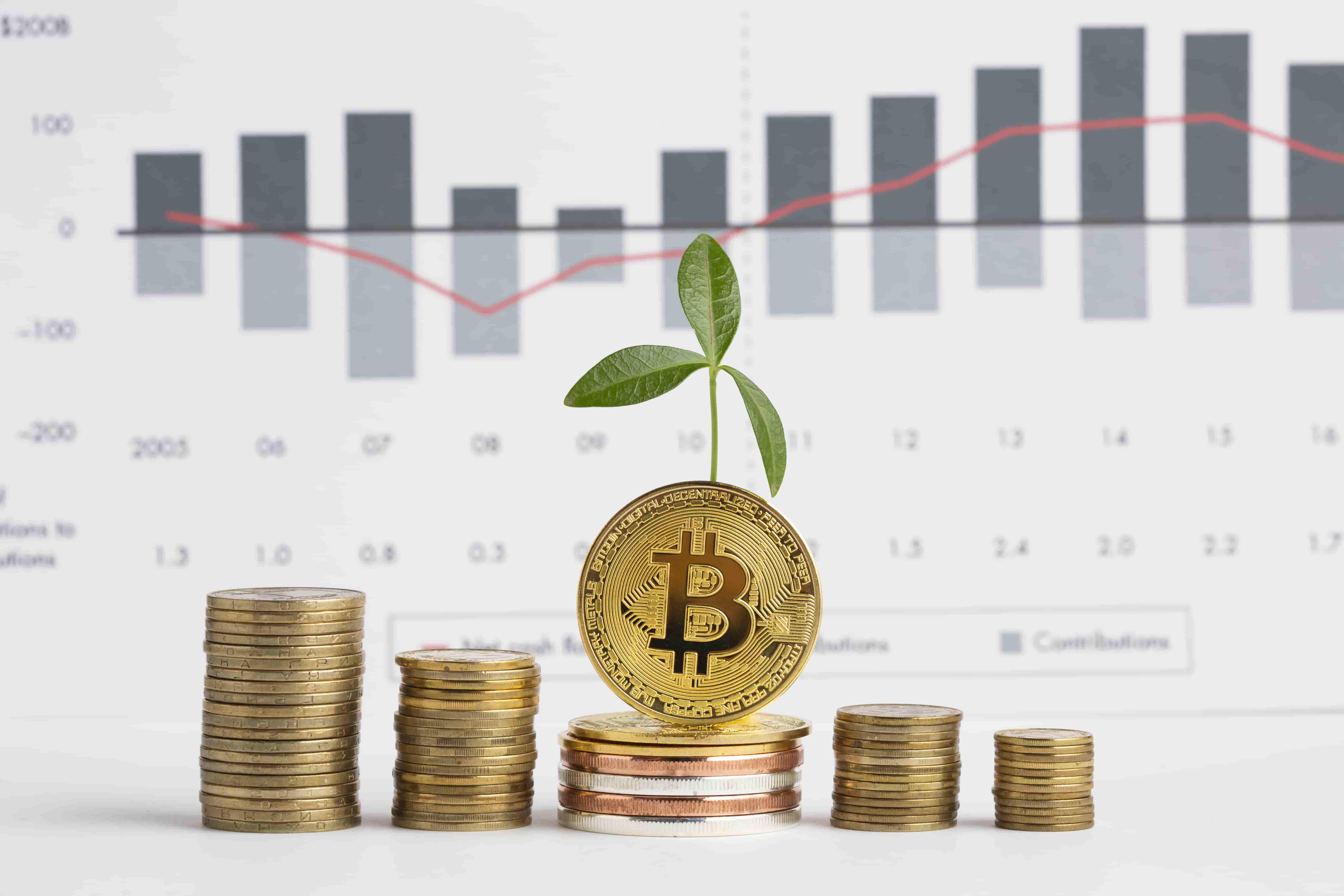 Solona ETF: ESG Innovation Meets Political Strategy in Crypto Markets