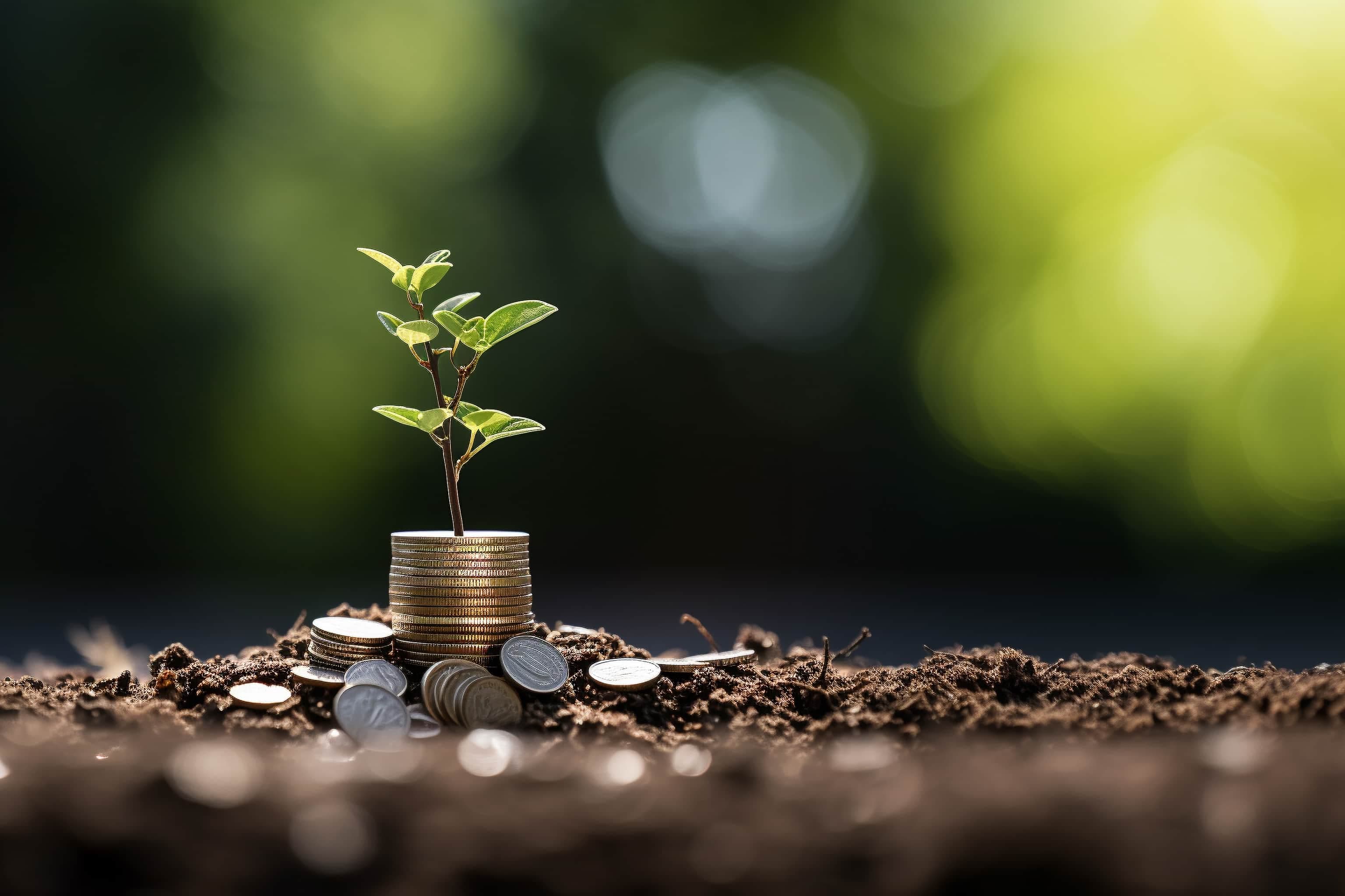 HSBC Sustainable Finance Push: Chaoni Huang to Lead Asia Transition