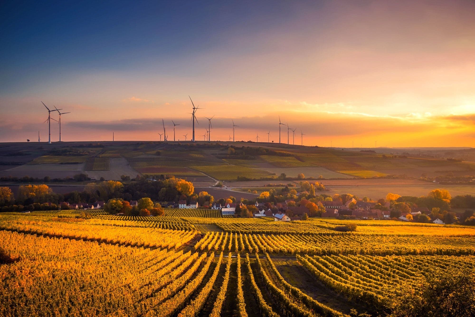 The World Needs to Redefine Sustainability in the Blue Food Sector
