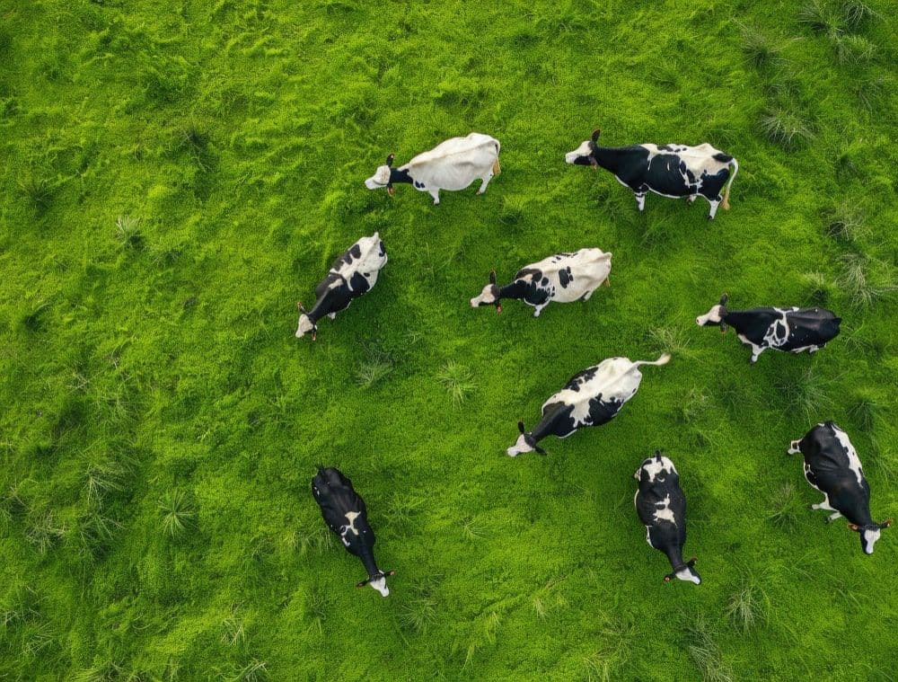 Sustainability Guide Unveiled by Campbell Brothers