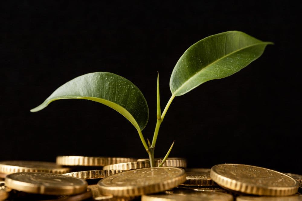 Danish Pension Funds' $700M Sustainable Fund for Emerging Markets
