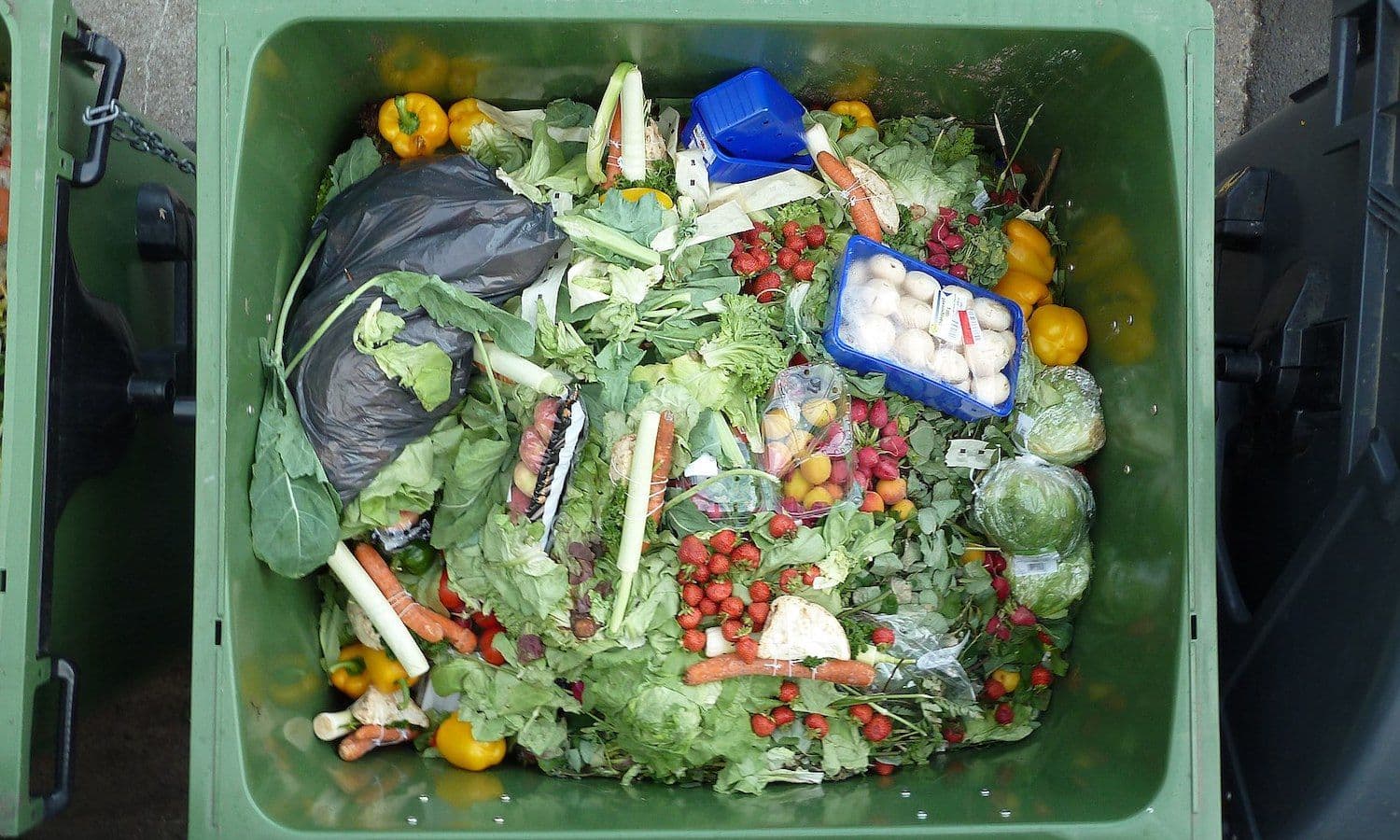 Sustainability Initiative Helps Meijer Divert Food Waste