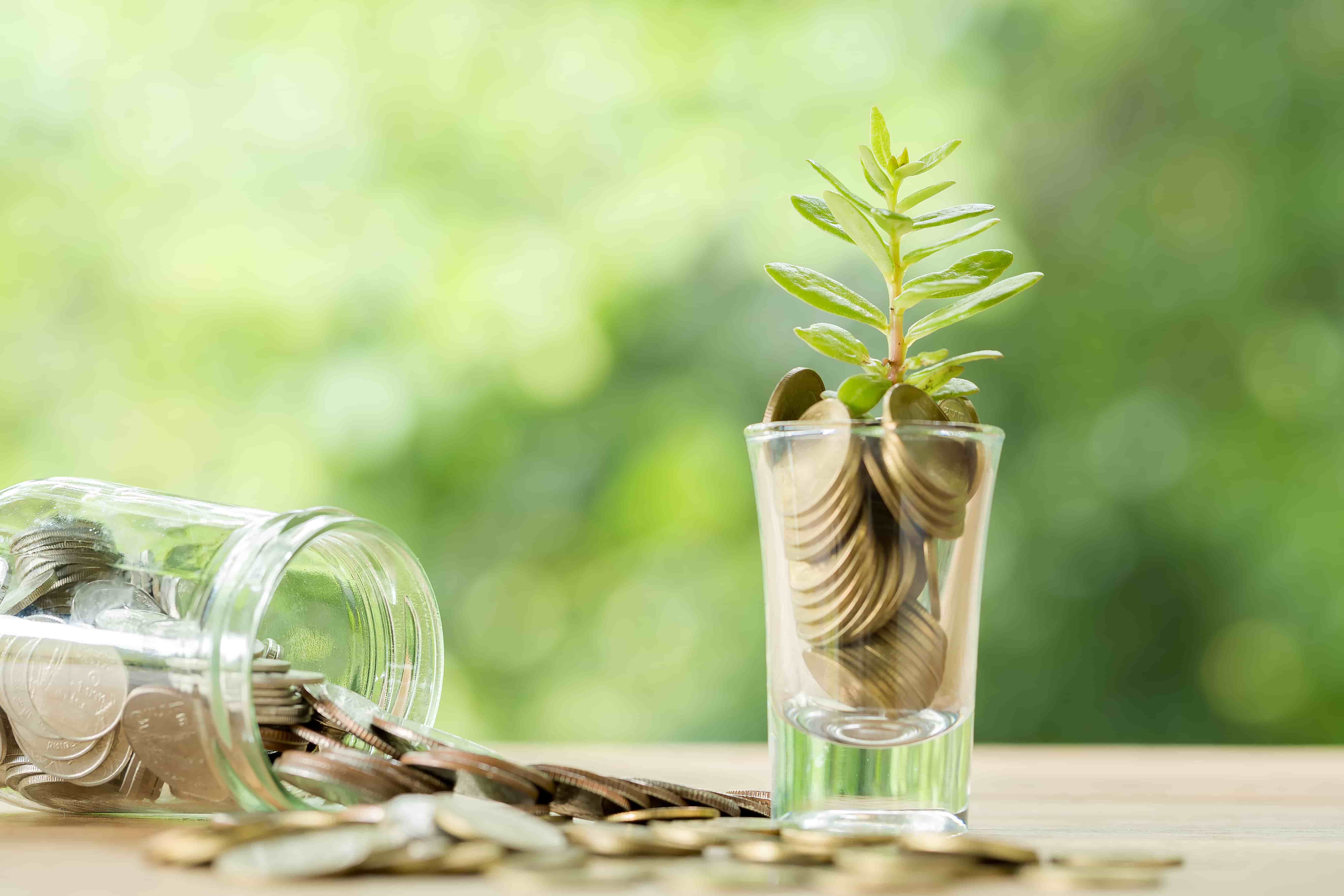 Switzerland and Vietnam Deepen Ties with $50 Million Sustainability Fund