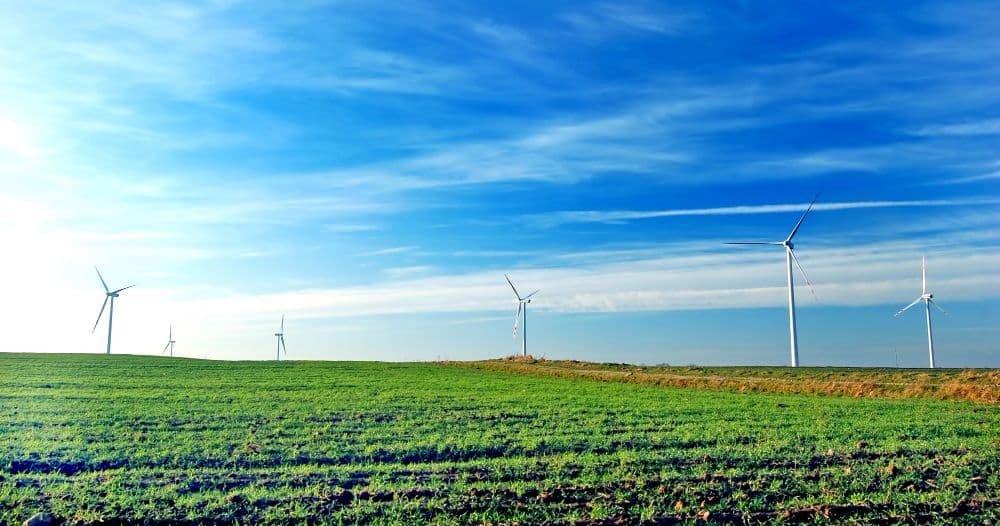 IMPACT NOW: SGS Launches New Sustainability Programme