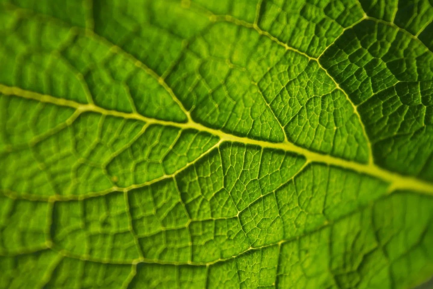 ERM & osapiens Partner to Streamline ESG Data Compliance